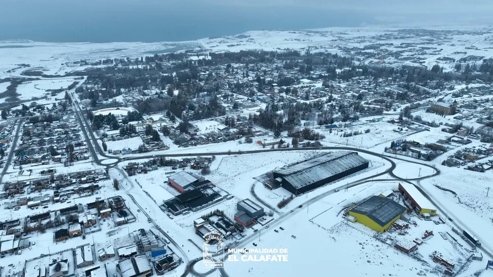calafate